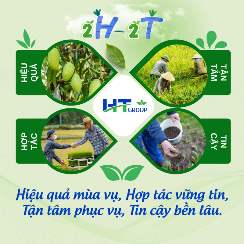 Hình 4 - GT