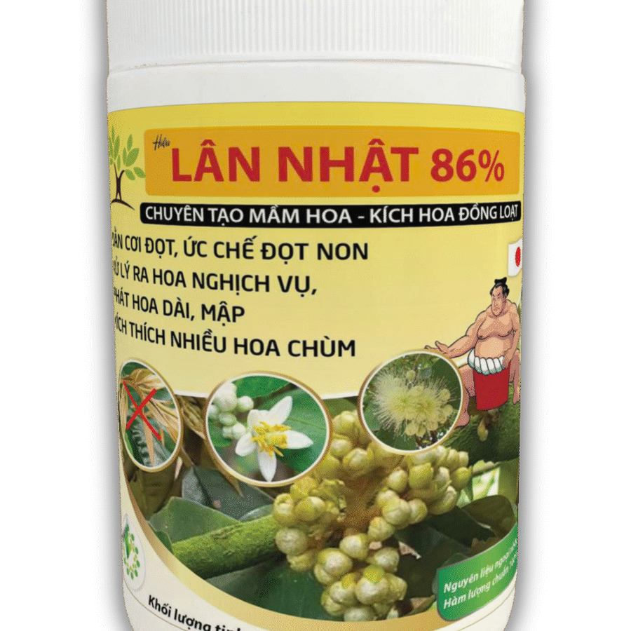 Lân Nhật 86% (2)