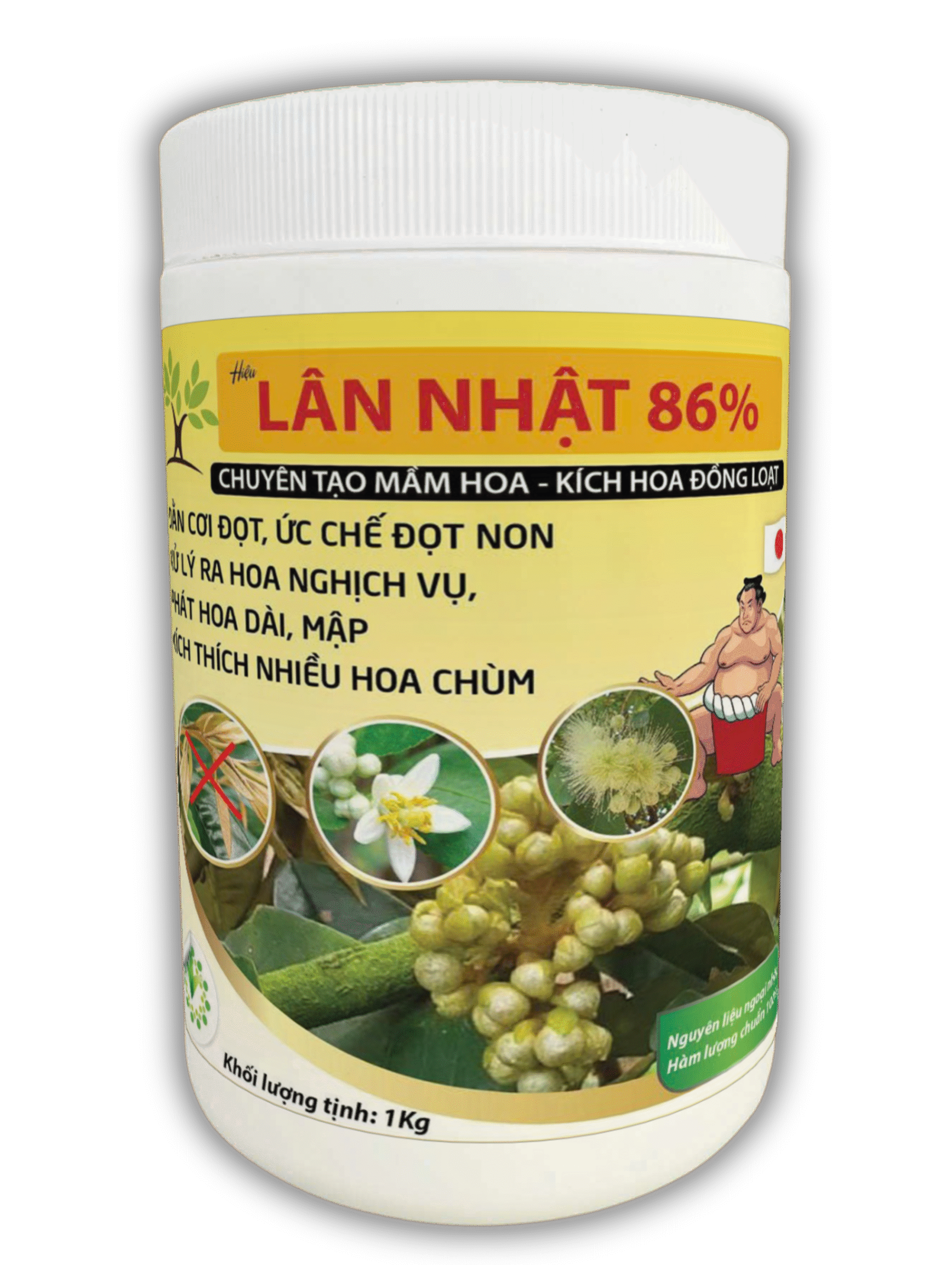Lân Nhật 86% (2)
