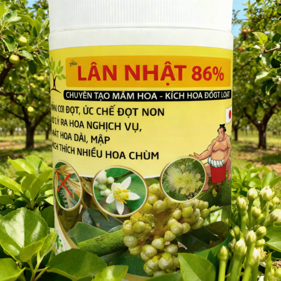 AI4 - Lân Nhật 86%