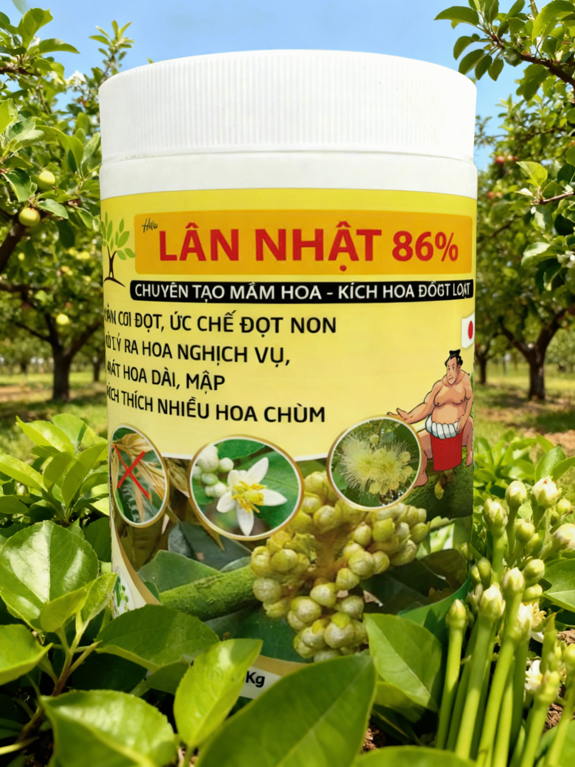 AI4 - Lân Nhật 86%