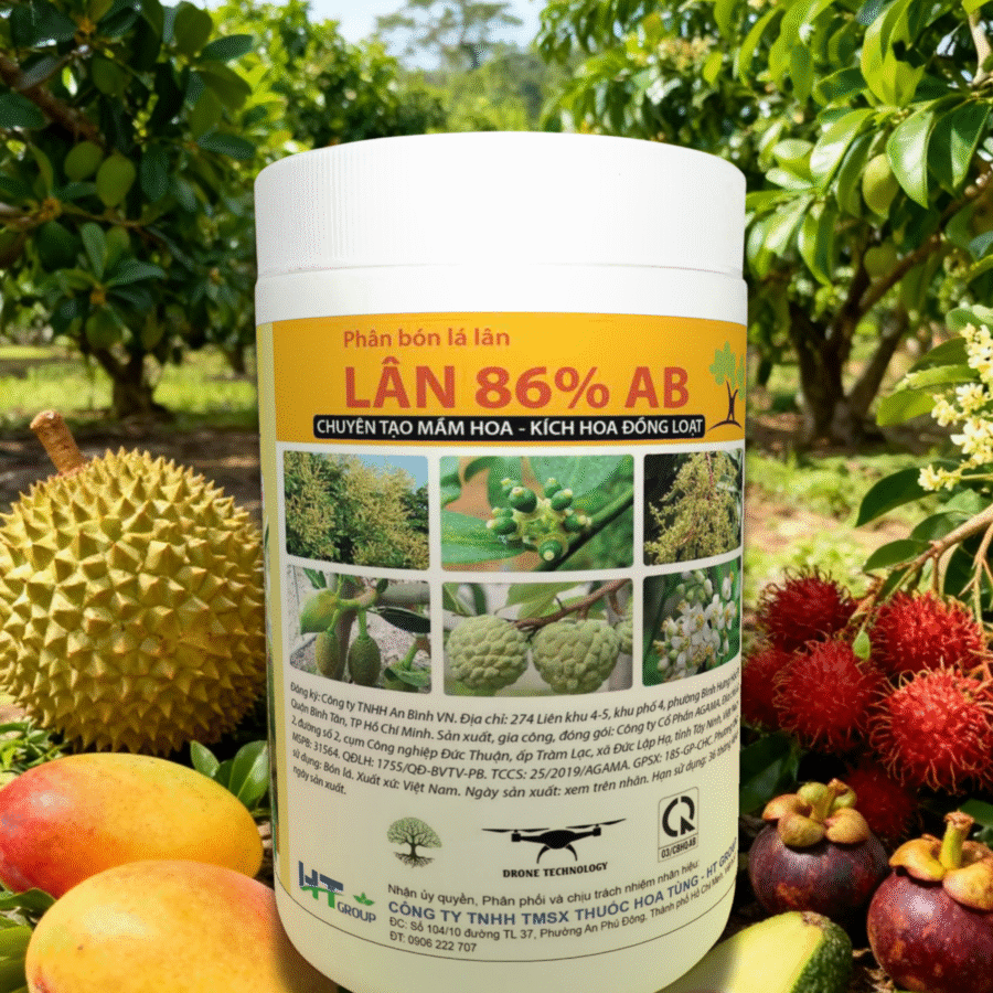 AI2 - Lân Nhật 86 (HT)