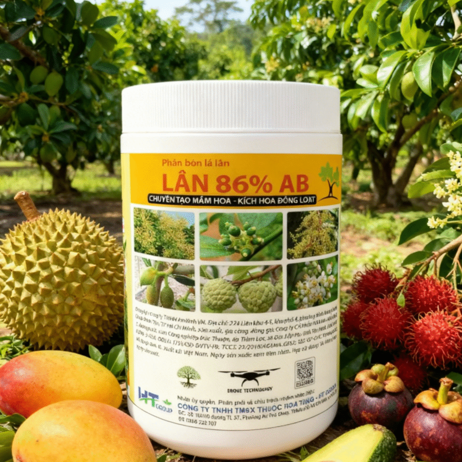 AI2 - Lân Nhật 86%