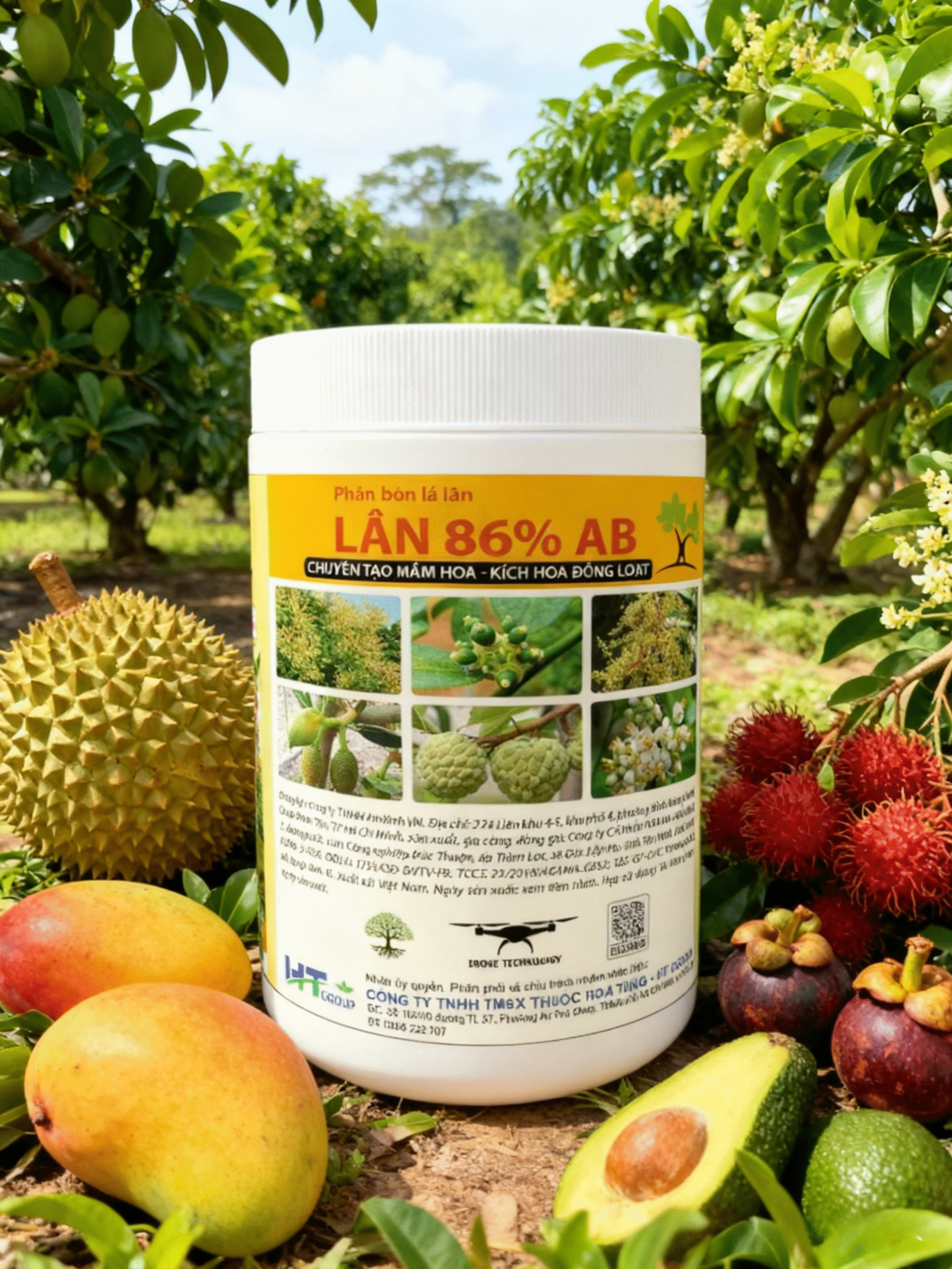 AI2 - Lân Nhật 86%