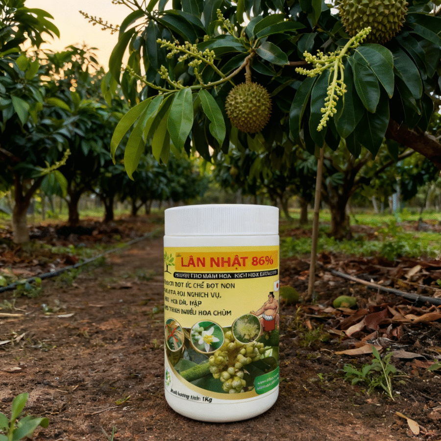 AI3 - Lân Nhật 86%