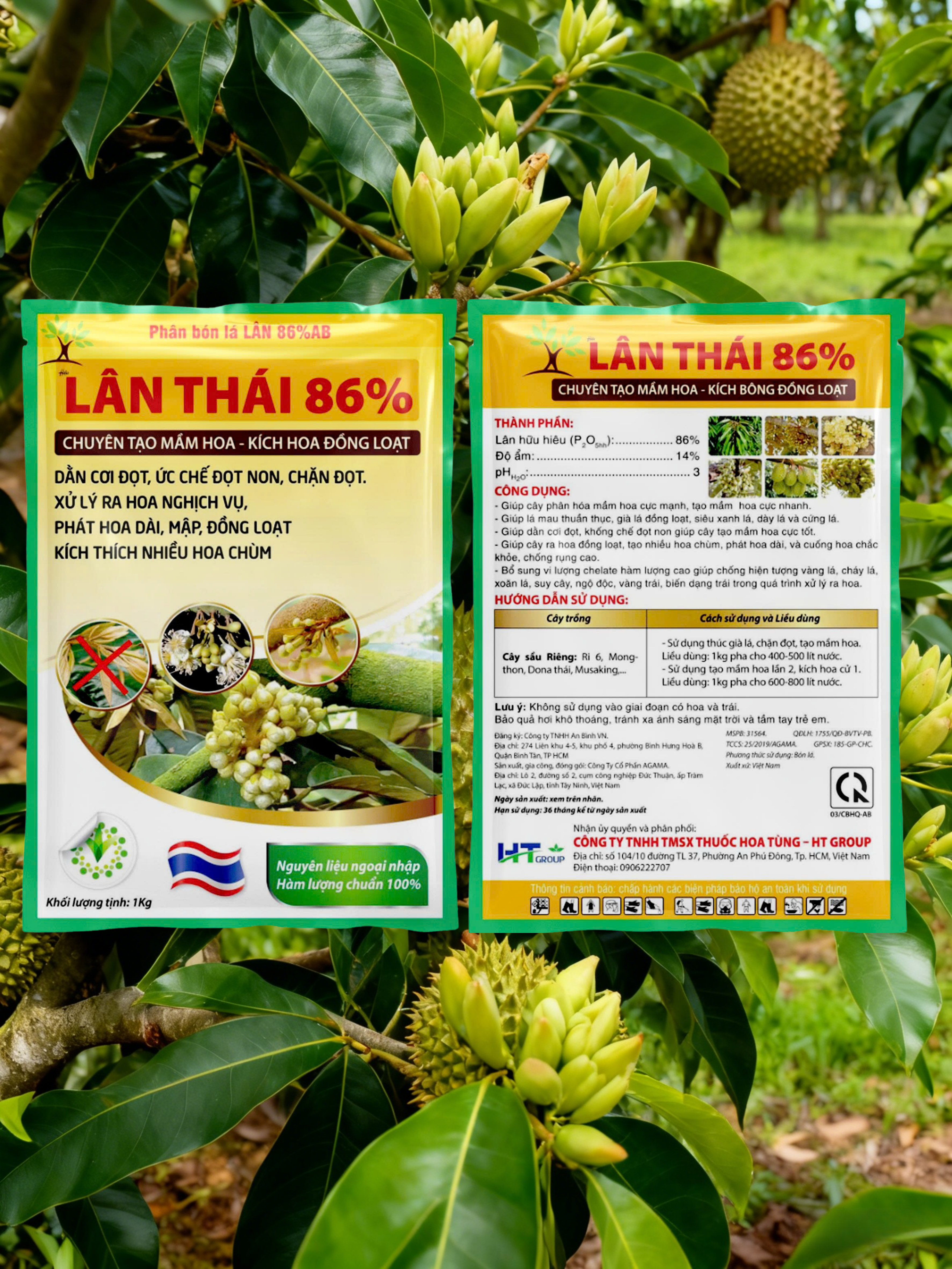 AI3 - Lân Thái 86 (HT)