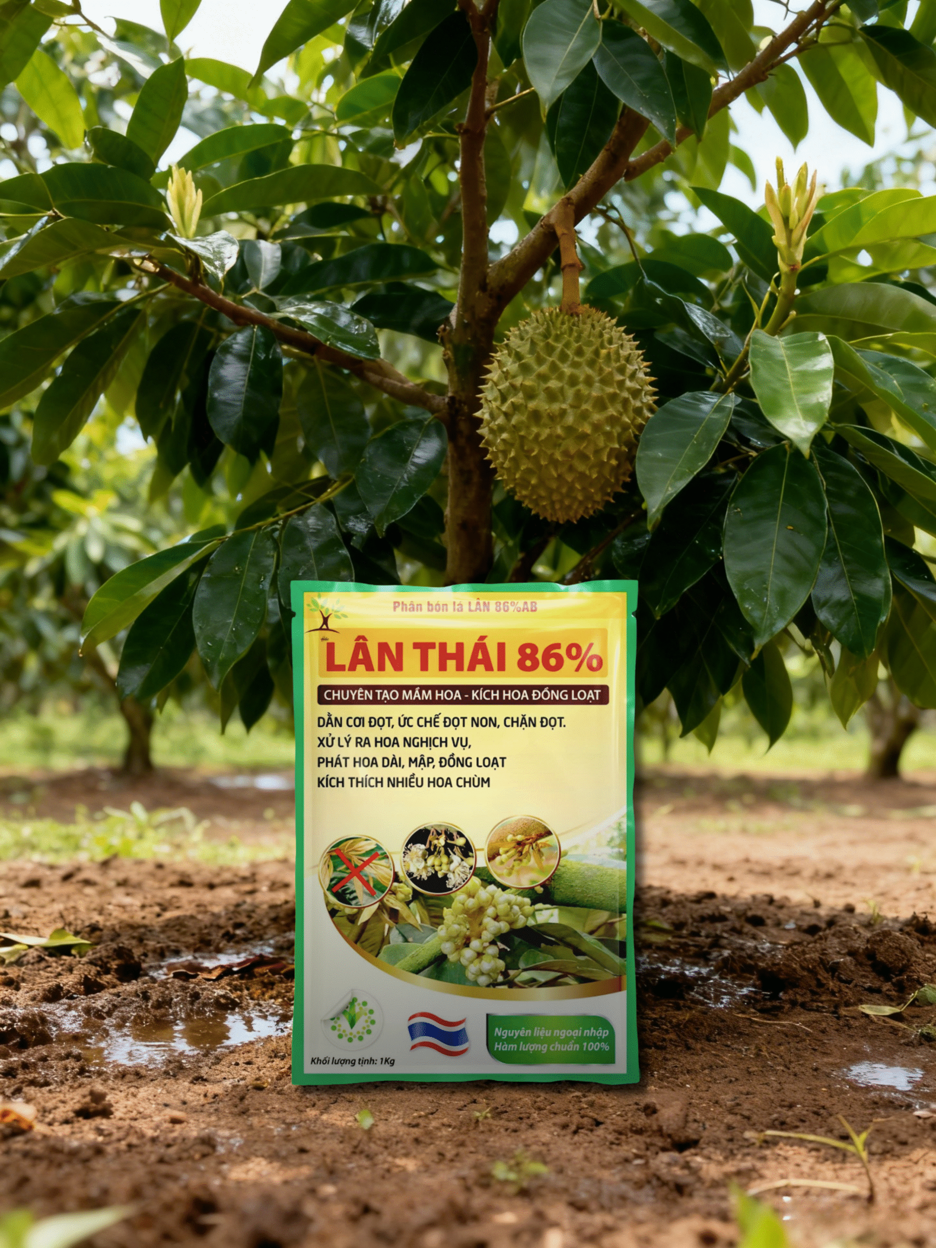 AI4 - Lân Thái 86 (HT)