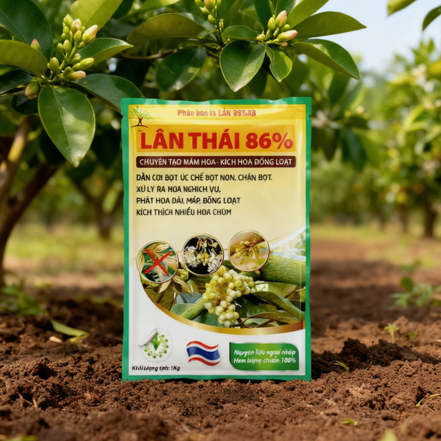 AI1 - Lân Thái 86%