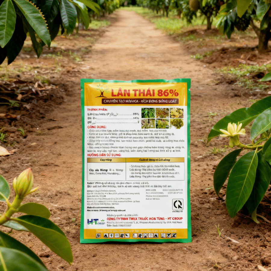 AI2 - Lân Thái 86%