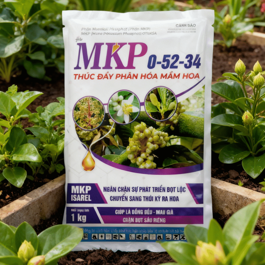 AI1 - MKP 0-52-34 (HT)