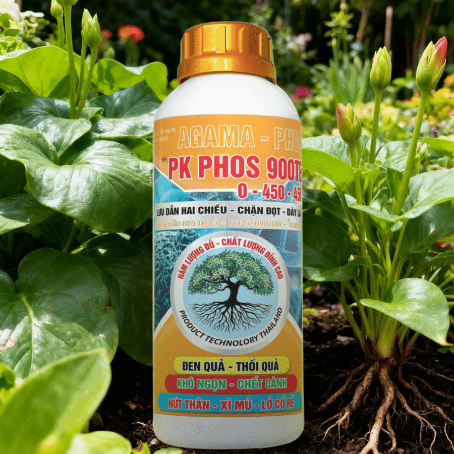 AI1 - PK PHOS 900 (HT)