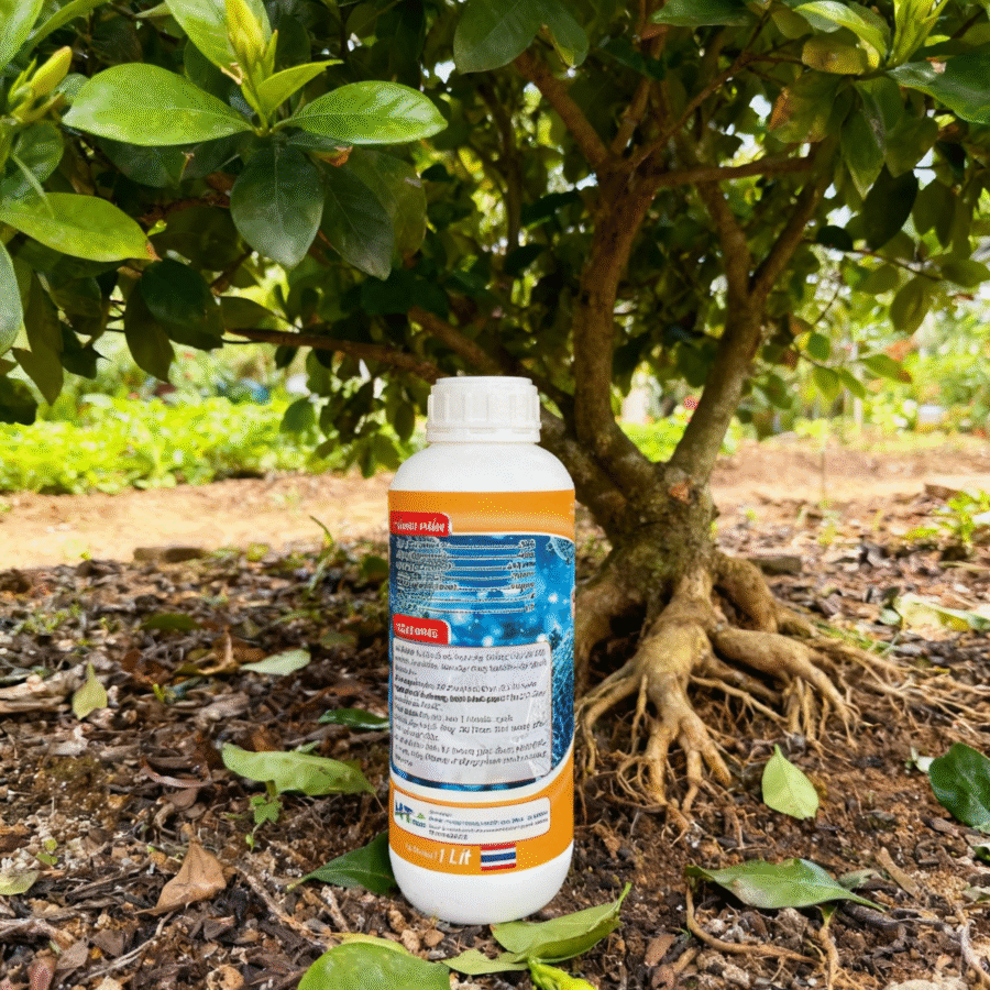 AI2 - PK PHOS 900 TE