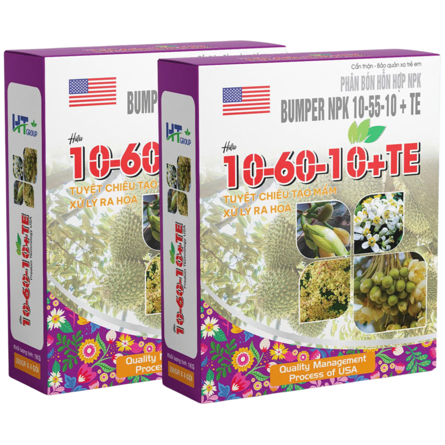 NPK 10-60-10 (2)