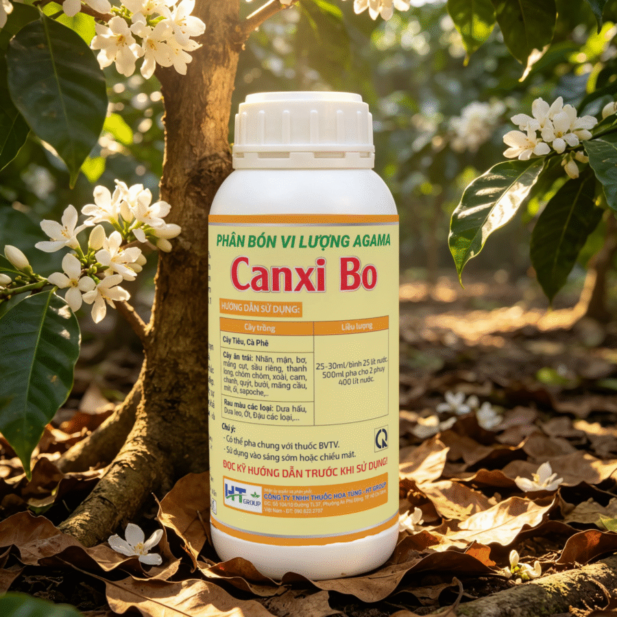 AI2 - Canxi Bo Kẽm