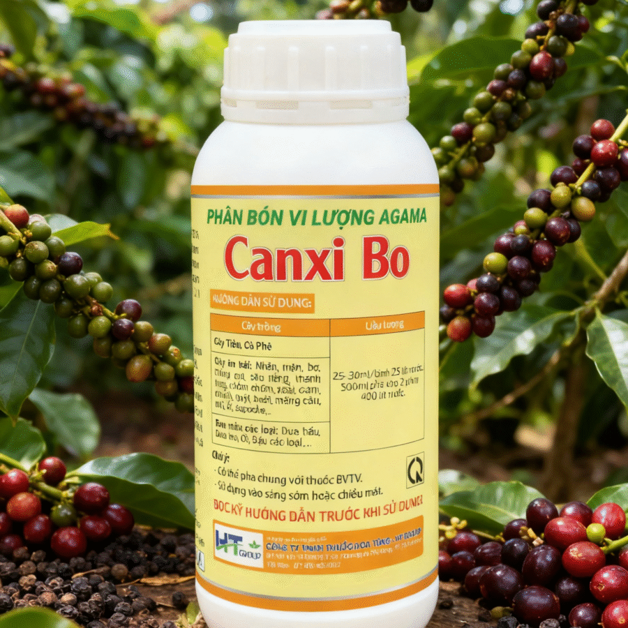 AI2 - Canxi bo kẽm