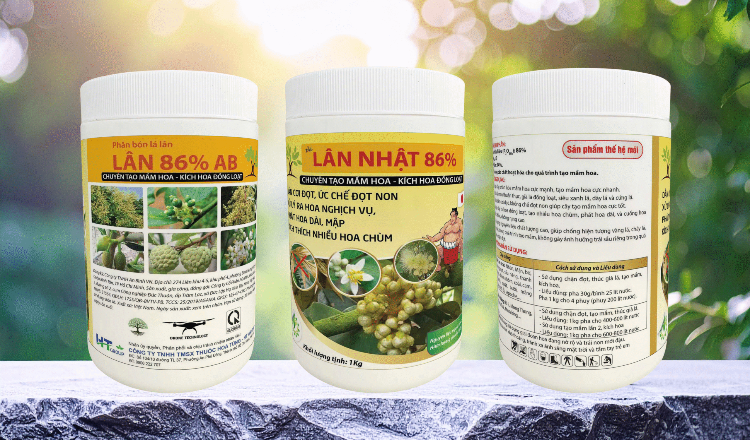 Lân Nhật 86% HT Group