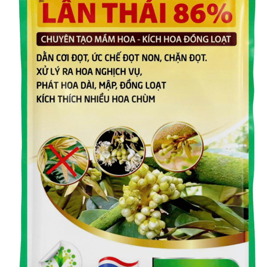 Lân Thái 86%