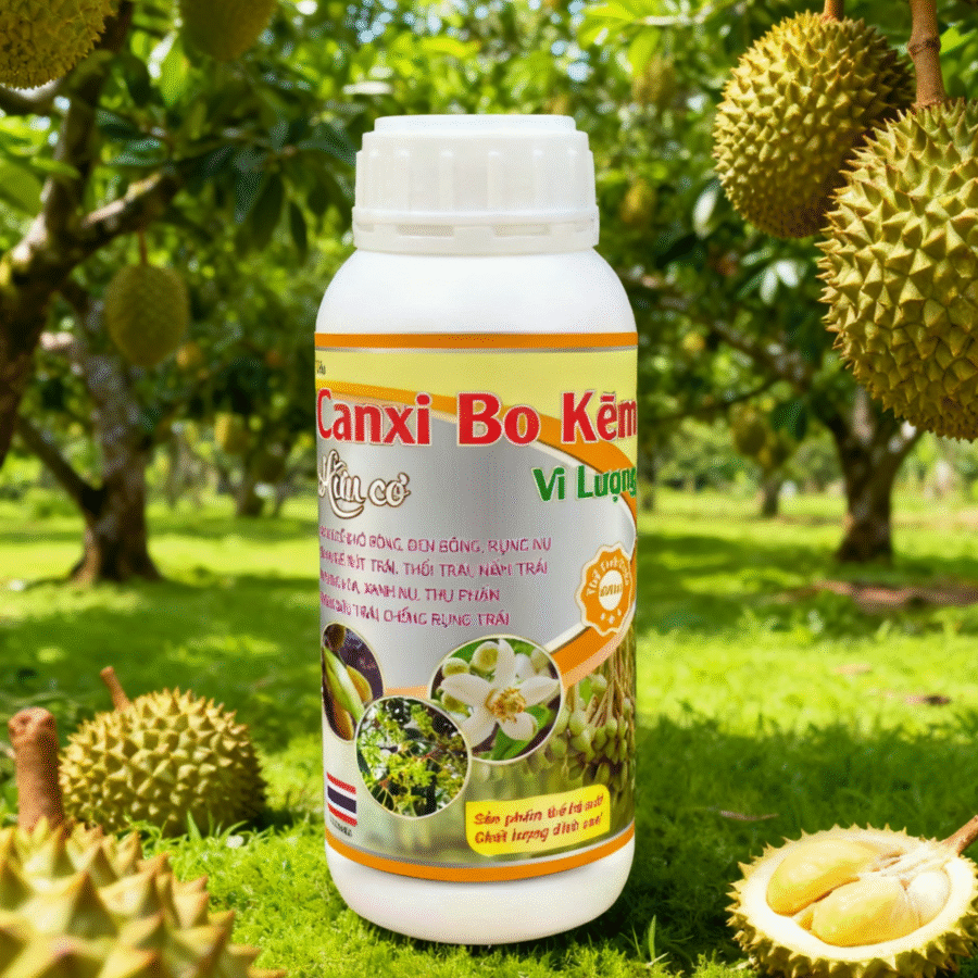 AI1 - Canxi bo kẽm