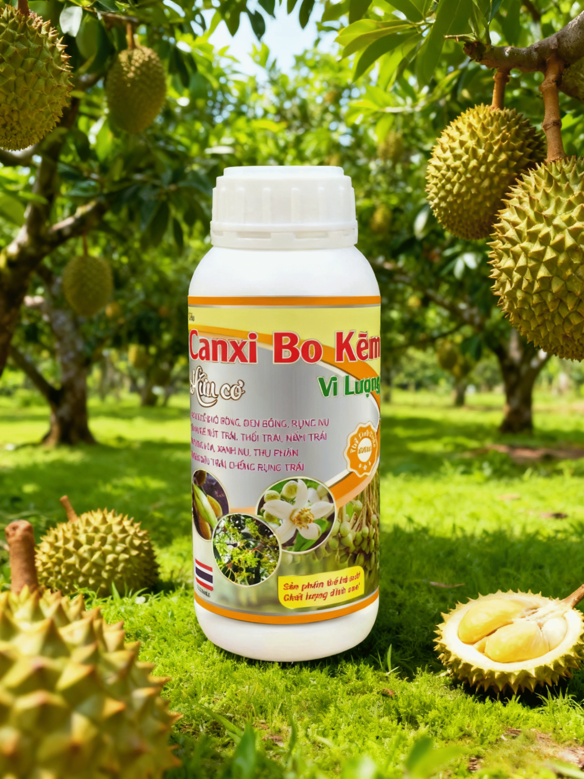 AI1 - Canxi bo kẽm