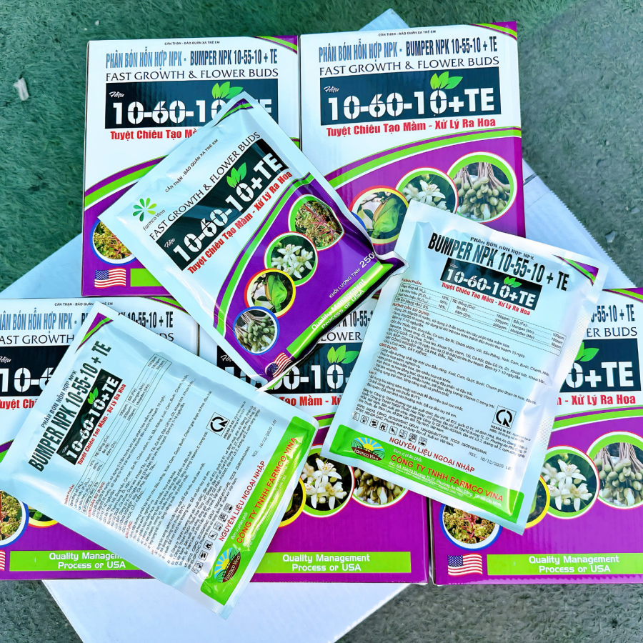 Real 6 - NPK 10-60-10 (FC)