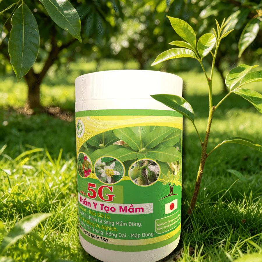 AI3 - Thần Y Tạo Mầm (FC)