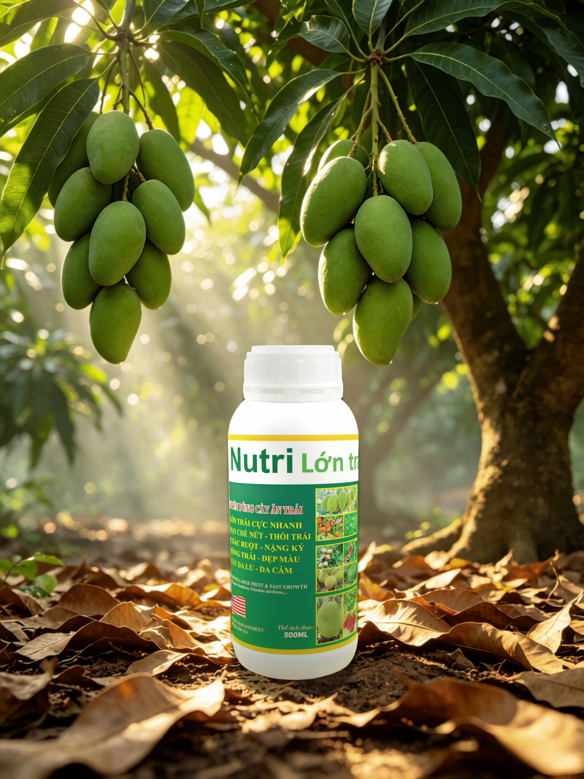 AI1 - Nutri Lớn Trái (FC)