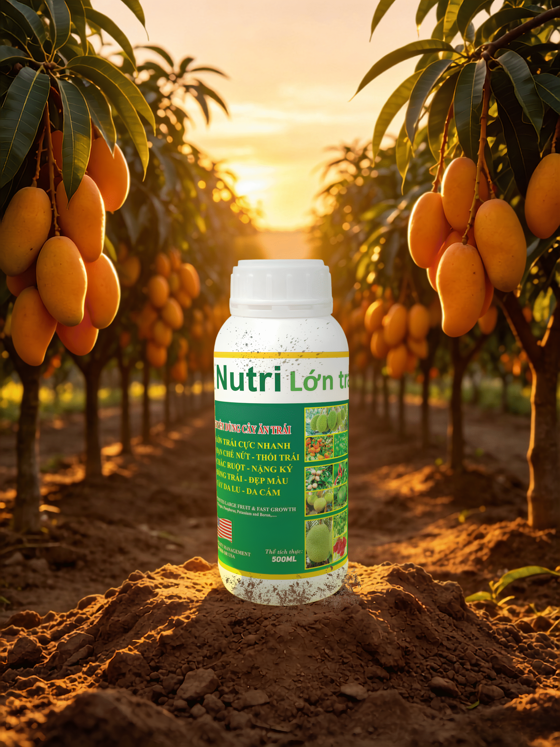 AI3 - Nutri Lớn Trái (FC)