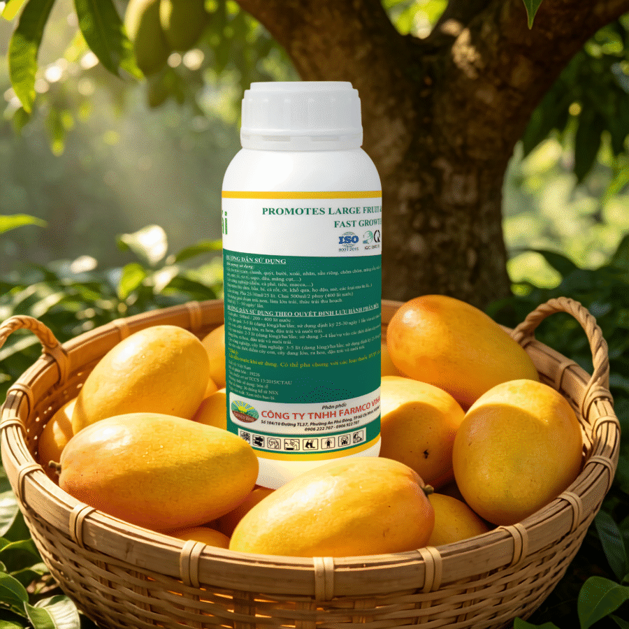 AI2 - Nutri Lớn Trái (FC)