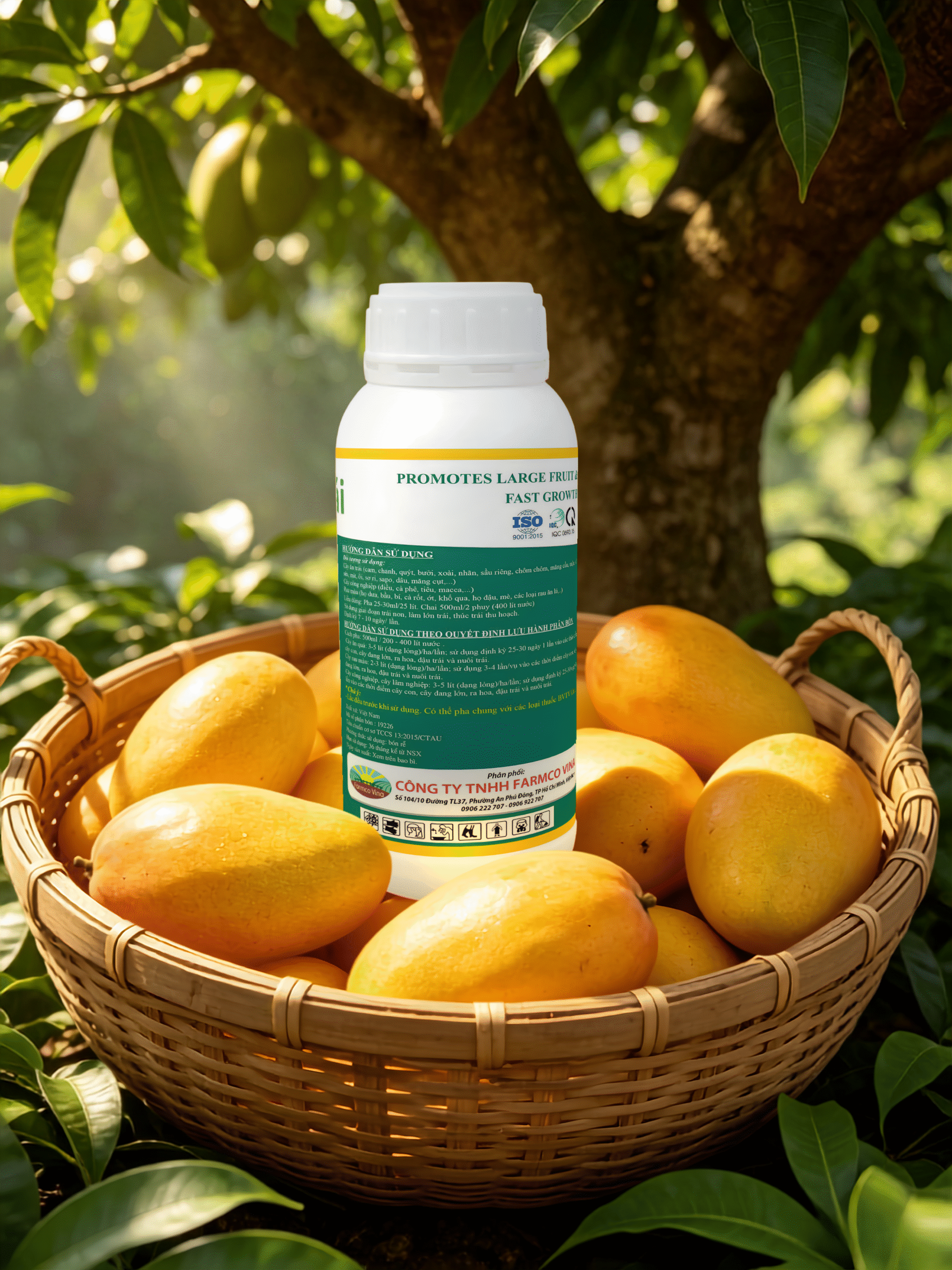 AI2 - Nutri Lớn Trái (FC)