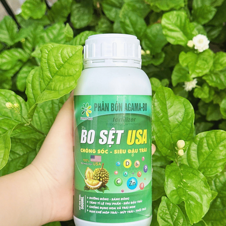 Real 1 - Bo Sệt USA (FC)