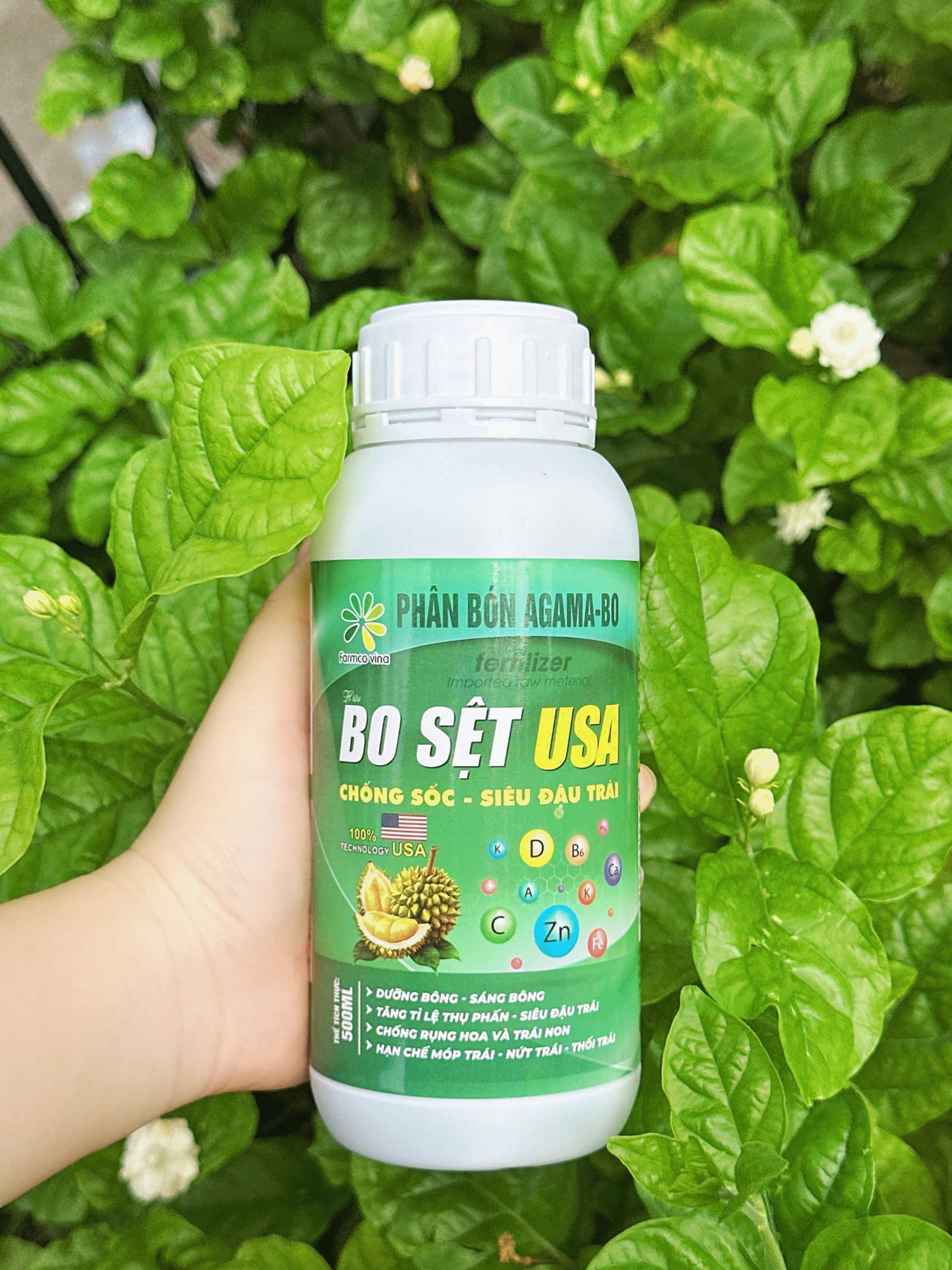 Real 1 - Bo Sệt USA (FC)