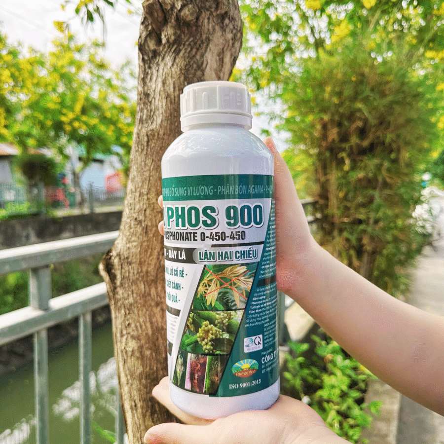Real 1 - PK PHOS 900 (FC)