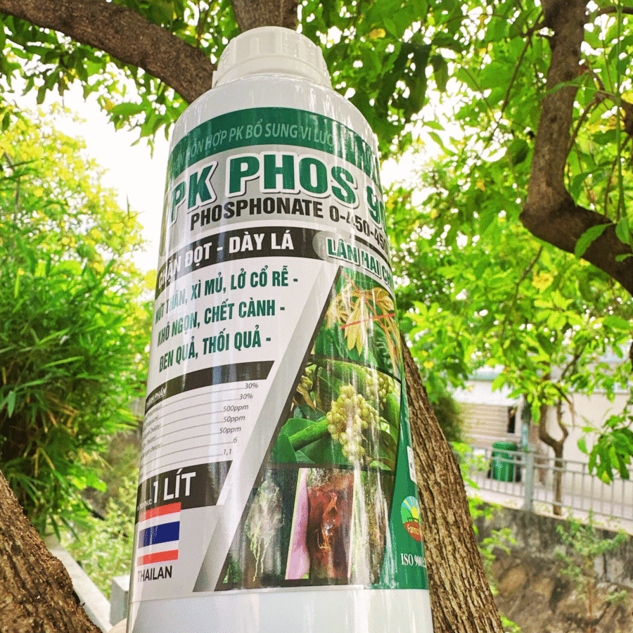 Real 3 - PK PHOS 900 (FC)