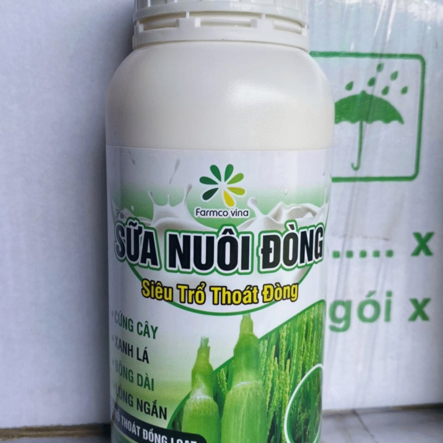 Real 1 - Sữa Nuôi Đòng (FC)