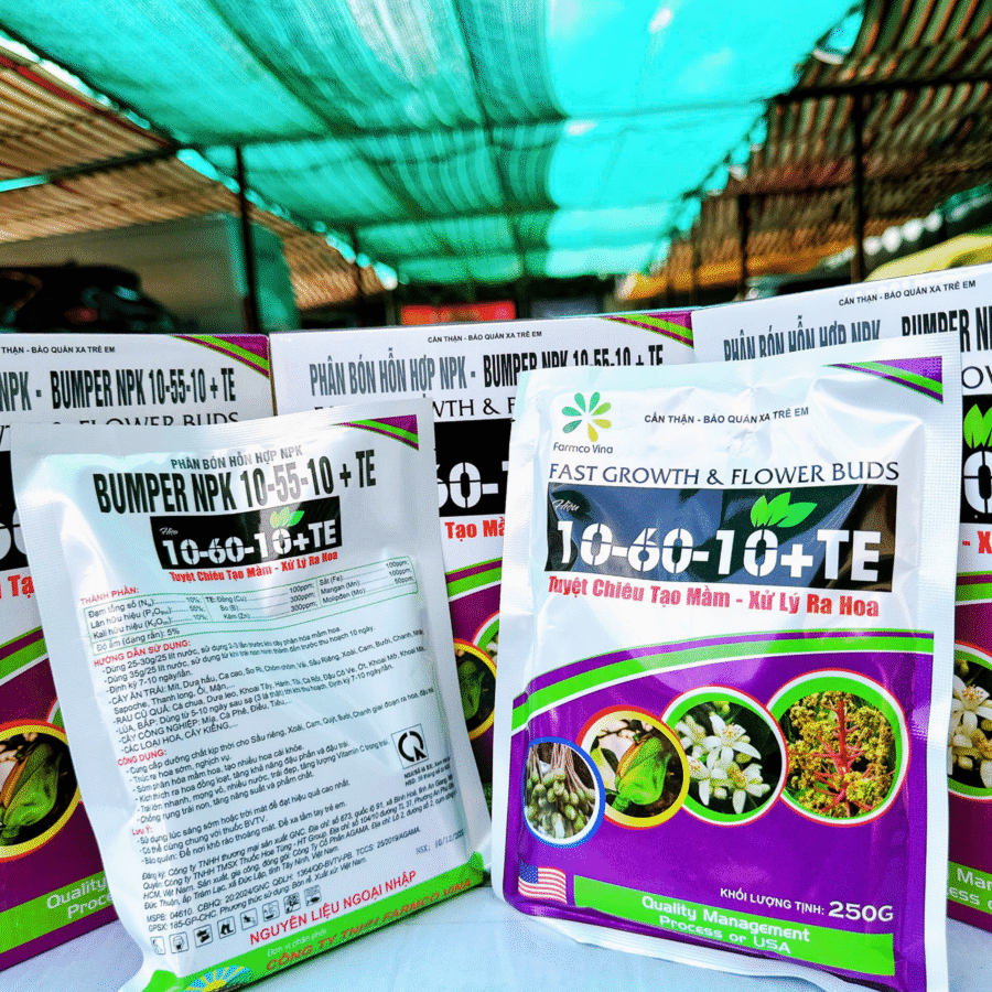 Real 2 - NPK 10-60-10 (FC)