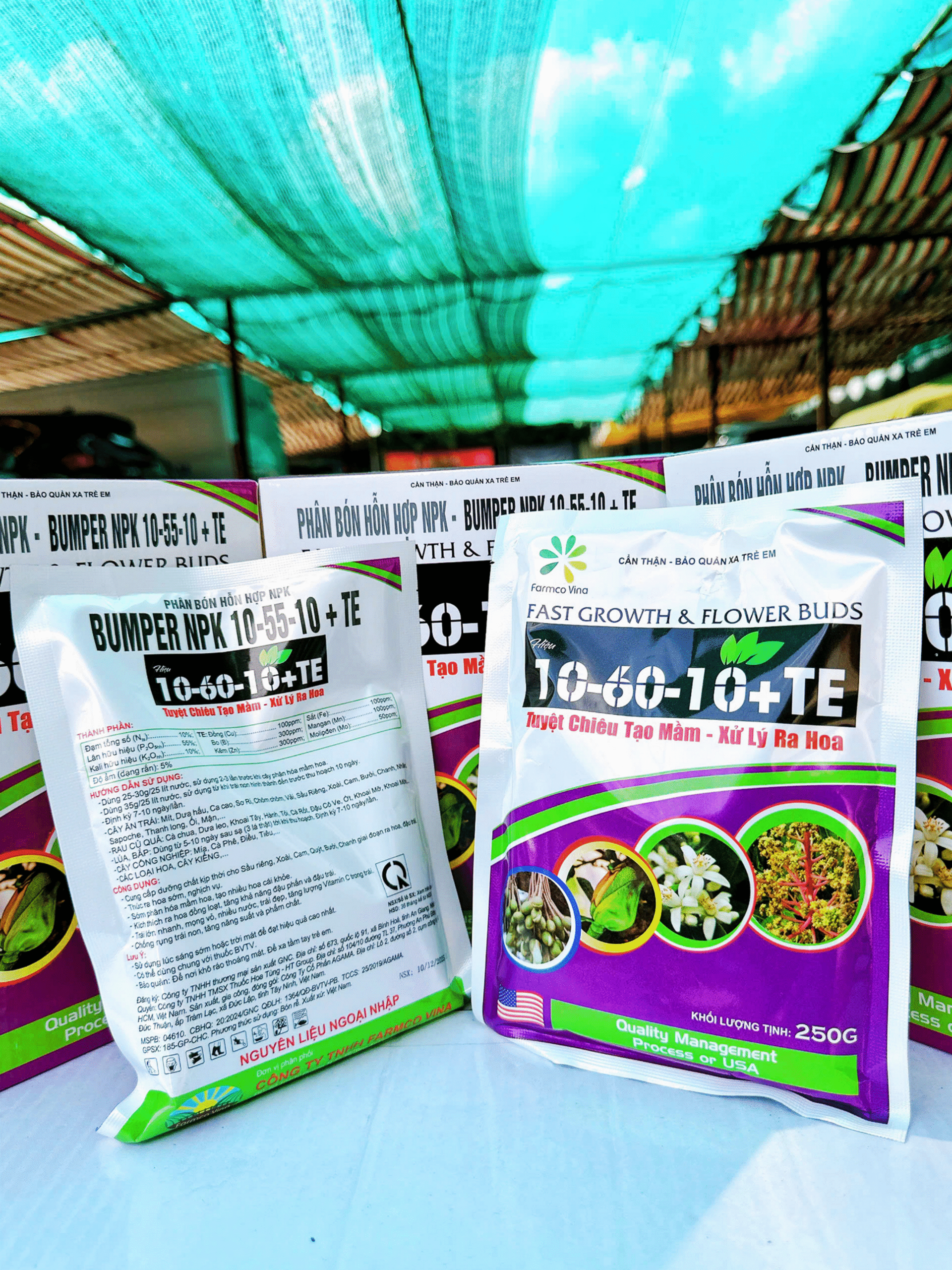 Real 2 - NPK 10-60-10 (FC)